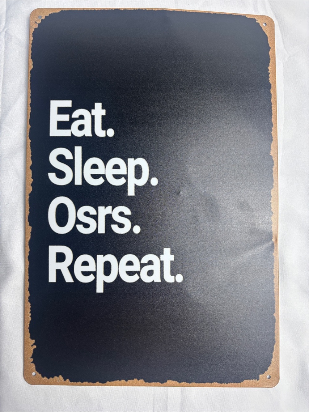 BNIP Metal Sign “Eat. Sleep. Osrs. Repeat.” 8x12”